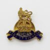 Royal Army Pay Corps Old Comrades Association (O.C.A.) Lapel Badge - King's Crown