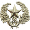 Cameronians (Scottish Rifles) Cap Badge