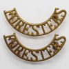 Pair of Sherwood Foresters Notts. & Derby Regiment (FORESTERS) Shoulder Titles