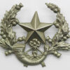 Cameronians (Scottish Rifles) Cap Badge