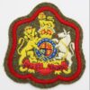 British Army RSM's Cloth Arm Badge - King's Crown