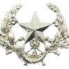 Cameronians (Scottish Rifles) Anodised (Staybrite) Cap Badge