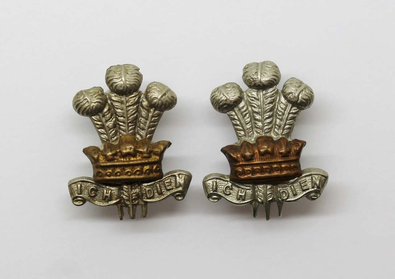 Pair of Leinster Regiment Collar Badges