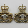 Pair of Staffordshire Regiment Anodised (Staybrite) Collar Badges