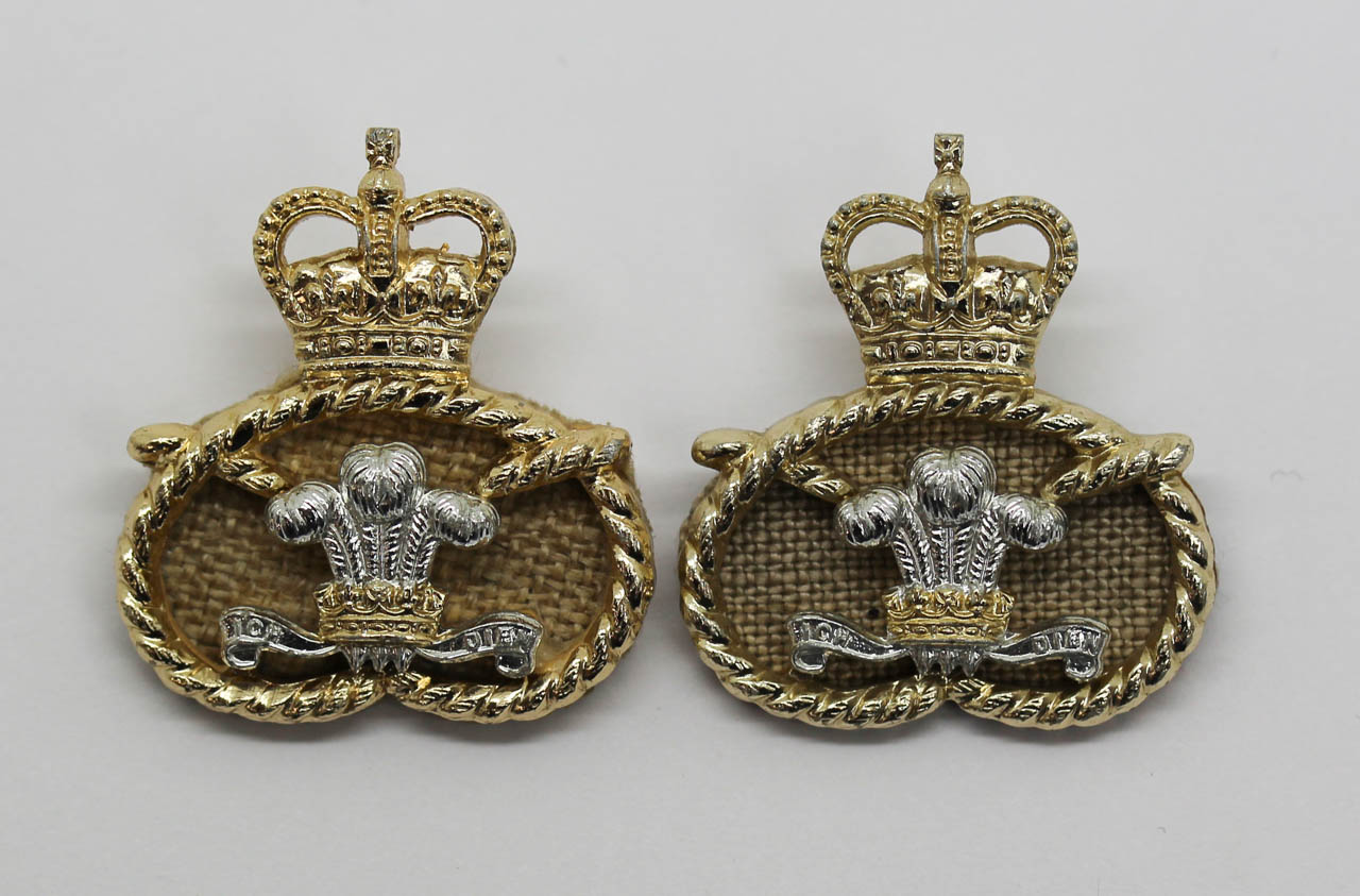 Pair of Staffordshire Regiment Anodised (Staybrite) Collar Badges