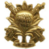 South African Regiment Suid-Westelike Distrikte (South Western District) Cap Badge