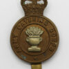 Army Catering Corps Cap Badge - Queen's Crown