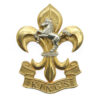 The King's Regiment Cap Badge
