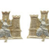 Pair of 1st Royal Anglian Regiment Anodised (Staybrite) Collar Badges