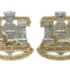 Pair of Devon & Dorset Regiment Anodised (Staybrite) Collar Badges