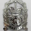 Hampshire Constabulary Constable's Helmet Plate - Queen's Crown