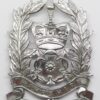Hampshire Constabulary Constable's Helmet Plate - Queen's Crown