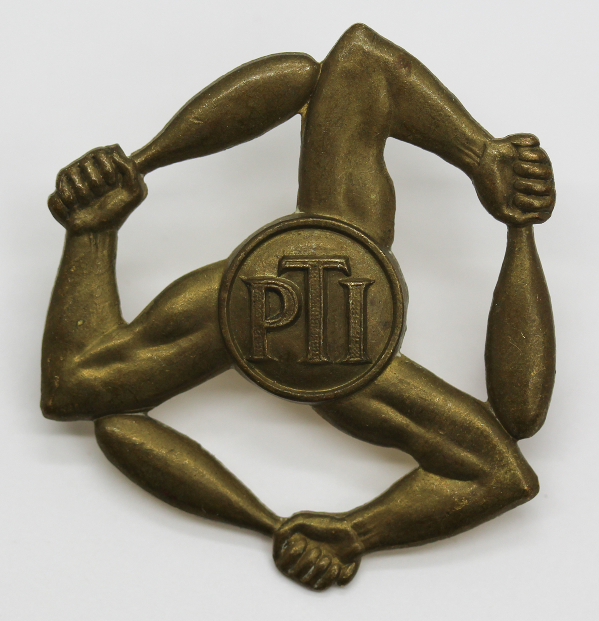 Royal Air Force (R.A.F.) Physical Training Instructors Arm Badge