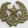Cameronians (Scottish Rifles) Cap Badge