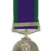 Campaign Service Medal (Clasp - Northern Ireland) - Gdsm. N.P. Parr, Grenadier Guards