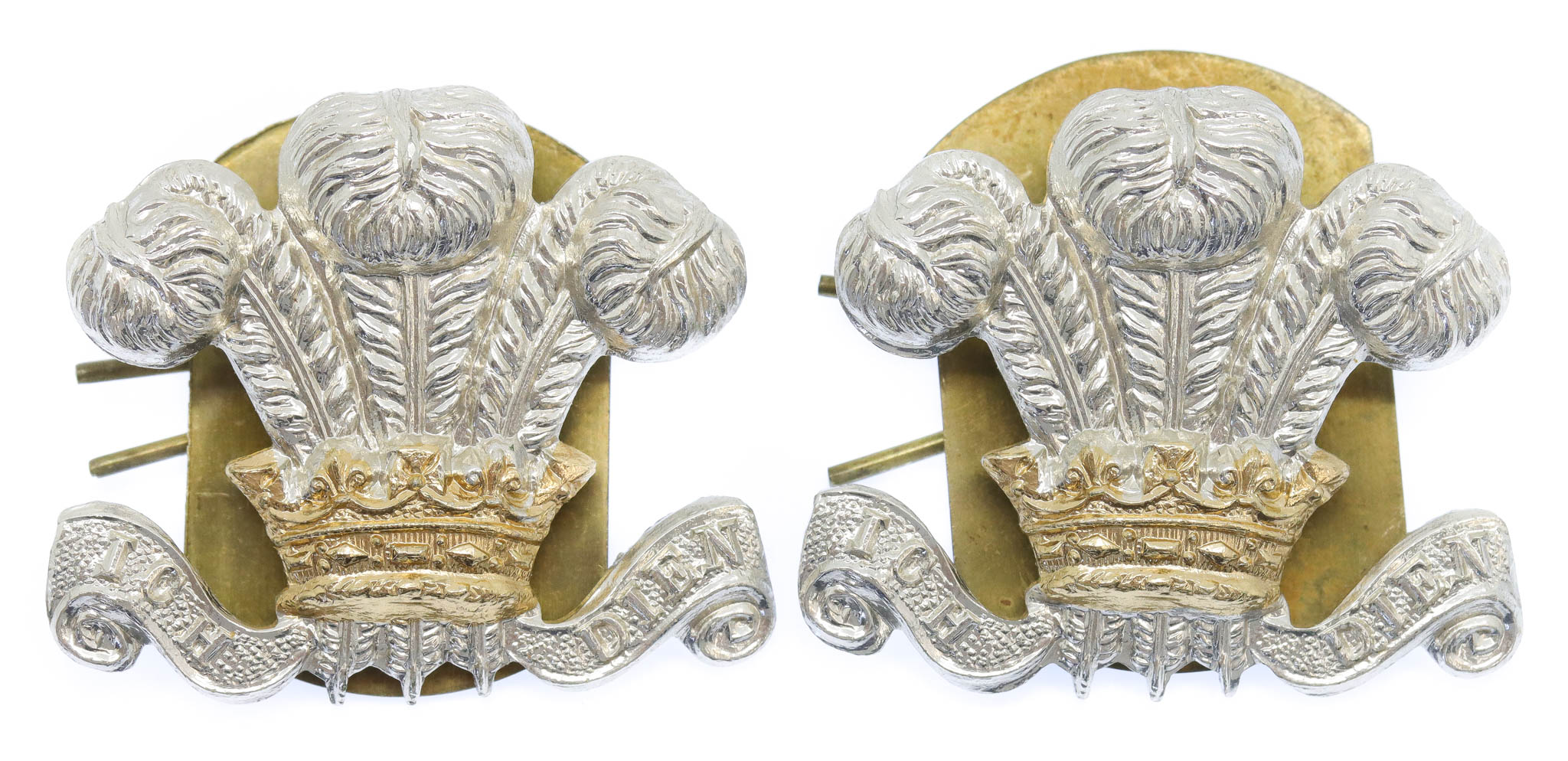 Pair of Royal Hussars Anodised (Staybrite) Collar Badges