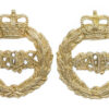 Pair of Queen's Bays Anodised (Staybrite) Collar Badges