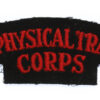 Army Physical Training Corps (ARMY PHYSICAL TRAINING/ CORPS) Cloth Shoulder Title