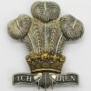 Royal Regiment of Wales Bi-metal Cap Badge