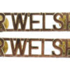Pair of The Royal Welsh (R.WELSH) Shoulder Titles