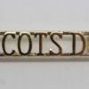Royal Scots Dragoon Guards (SCOTS DG) Anodised (Staybrite) Shoulder Title