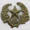 Cameronians (Scottish Rifles) Cap Badge