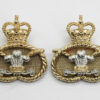 Pair of Staffordshire Regiment Anodised (Staybrite) Collar Badges