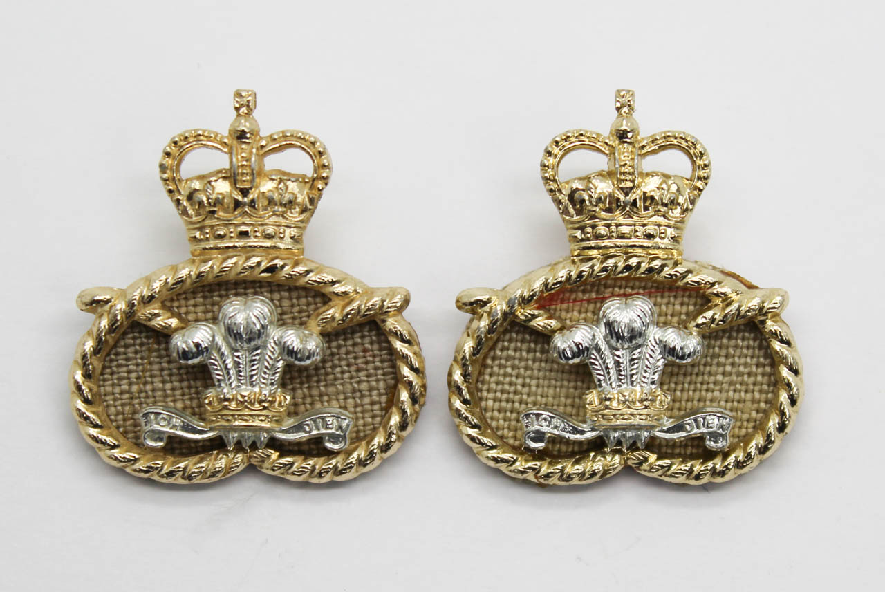Pair of Staffordshire Regiment Anodised (Staybrite) Collar Badges
