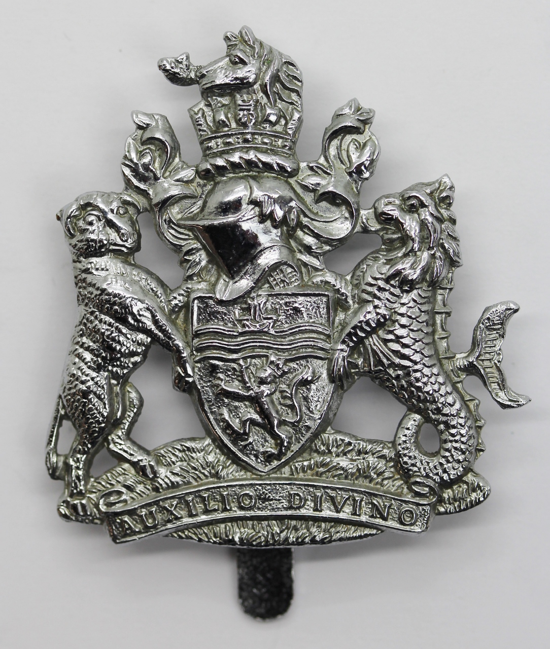 Devon & Exeter Joint Constabulary Cap Badge