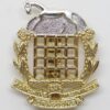 Berkshire & Westminster Dragoons Anodised (Staybrite) Cap Badge