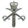 Army Physical Training Corps ( A.P.T.C.) Chrome Cap Badge - Queen's Crown