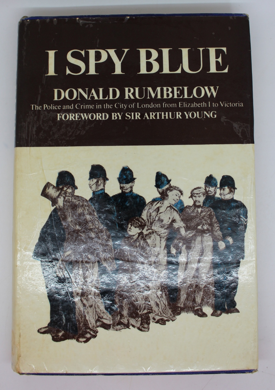 Book - I Spy Blue