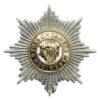 Cheshire Regiment Anodised (Staybrite) Cap Badge