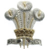 The Royal Regiment of Wales Anodised (Staybrite) Cap Badge