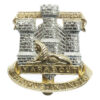 Devon & Dorset Regiment Anodised (Staybrite) Cap Badge