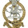 Queen's Royal Regiment Anodised (Staybrite) Cap Badge