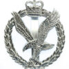 Army Air  Corps Anodised (Staybrite) Cap Badge