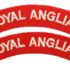 Pair of Royal Anglian Regiment (ROYAL ANGLIAN) Cloth Shoulder Titles