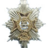 Worcestershire & Sherwood Foresters Anodised (Staybrite) Cap Badge
