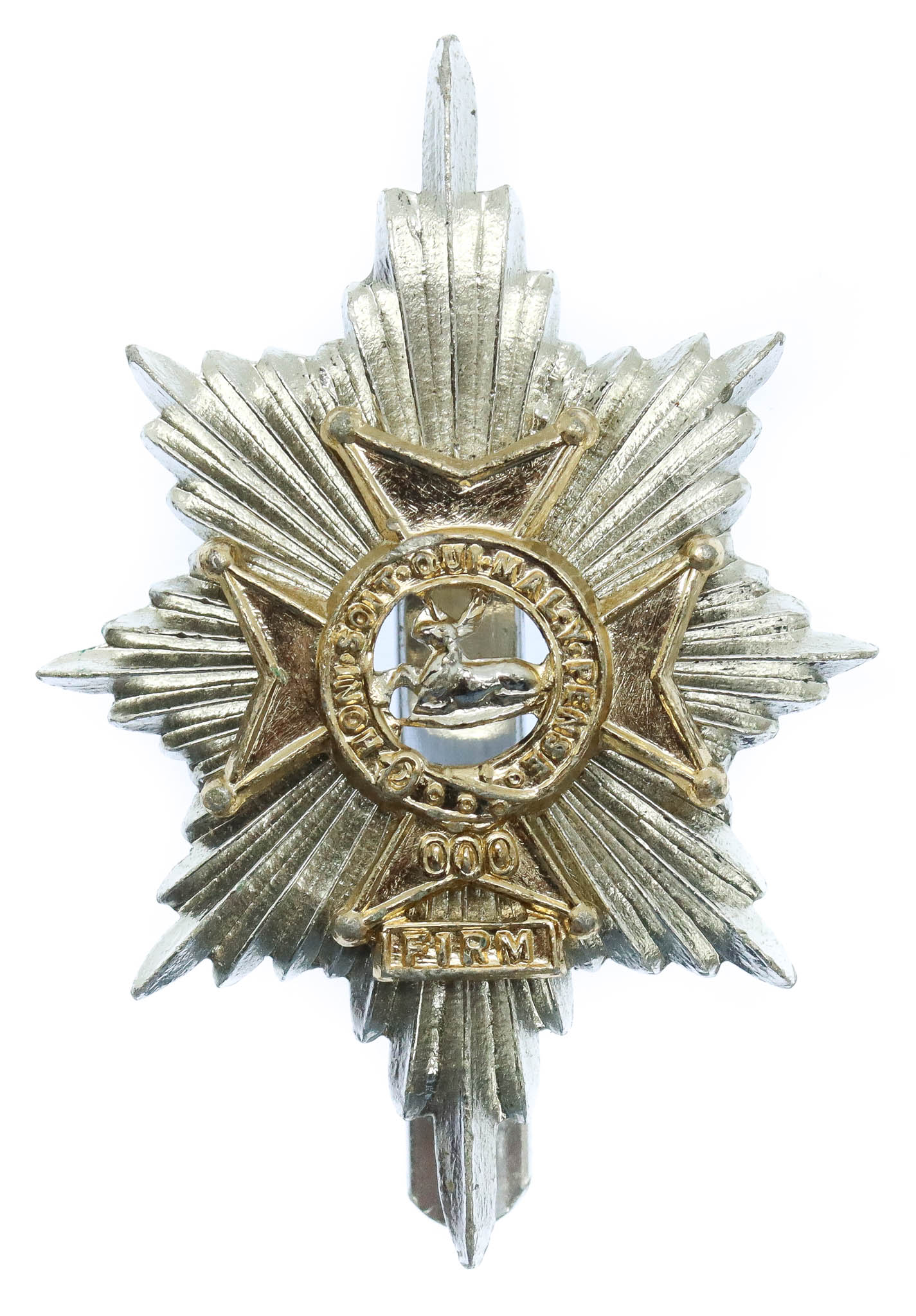 Worcestershire & Sherwood Foresters Anodised (Staybrite) Cap Badge