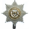 Cheshire Regiment Anodised (Staybrite) Cap Badge