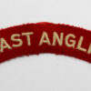 East Anglian Brigade (EAST ANGLIA) Cloth Shoulder Title