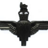 Parachute Regiment Black Anodised (Staybrite) Cap Badge