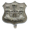 Dorsetshire Territorials Anodised (Staybrite) Cap Badge