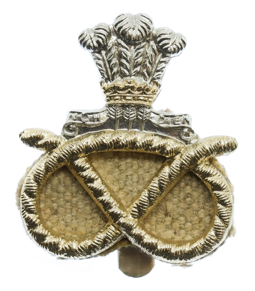 Staffordshire Regiment Anodised (Staybrite) Cap Badge
