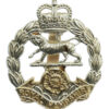 Royal Hampshire Regiment Anodised (Staybrite) Cap Badge