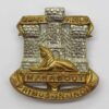 Devon & Dorset Regiment Cap Badge