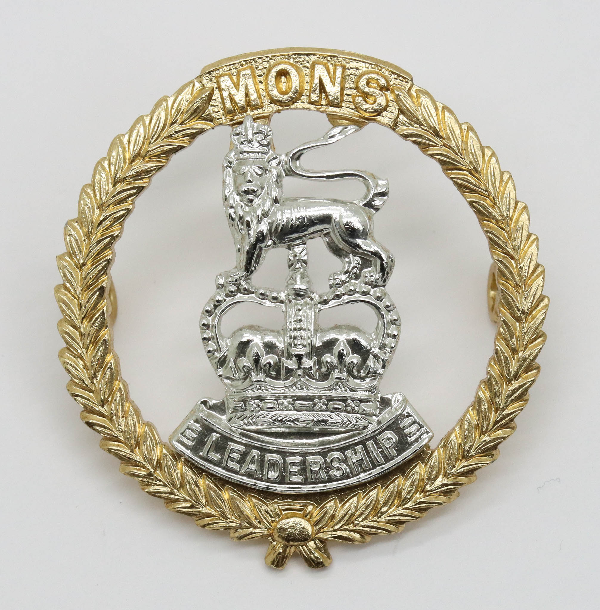 Mons Officer Cadet School Anodised (Staybrite) Cap Badge