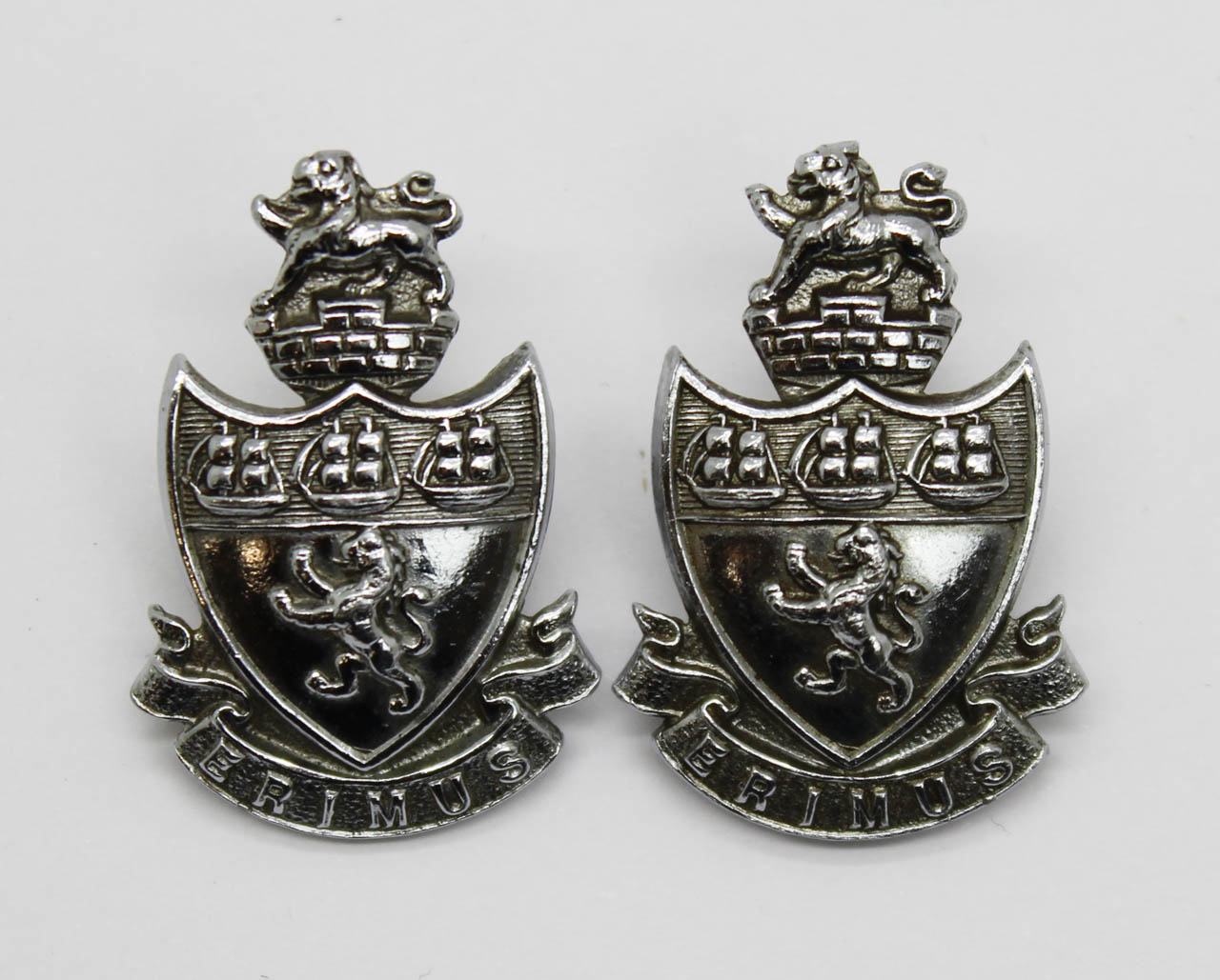 Pair of Middlesbrough Borough Police Collar Badges