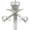 Army Physical Training Corps (A.P.T.C.) Anodised (Staybrite) Cap Badge